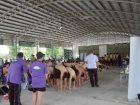 การสมัครคัดเลือกเป็นนักศึกษาวิชาทหารชั้นปีที่ 1 และการรายงาน ... Image 11
